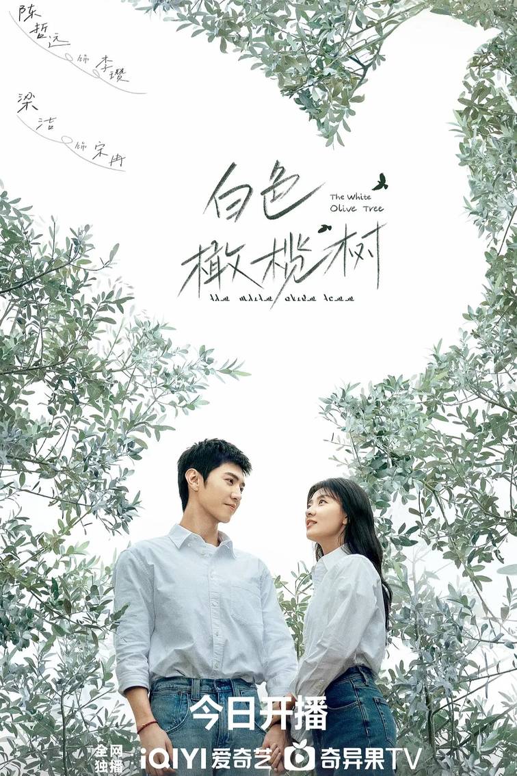 白色橄榄树